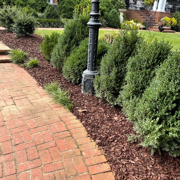 Lgsservices.org - Picture 2 of 16